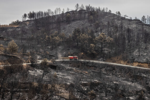 Source-feed image associated with Firefighters Warn They’re Ill-Prepared for a Bad Wildfire Season