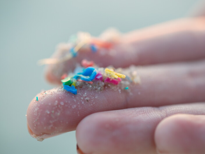 Source-feed image associated with What’s in your drinking water? Activists want tests for microplastics