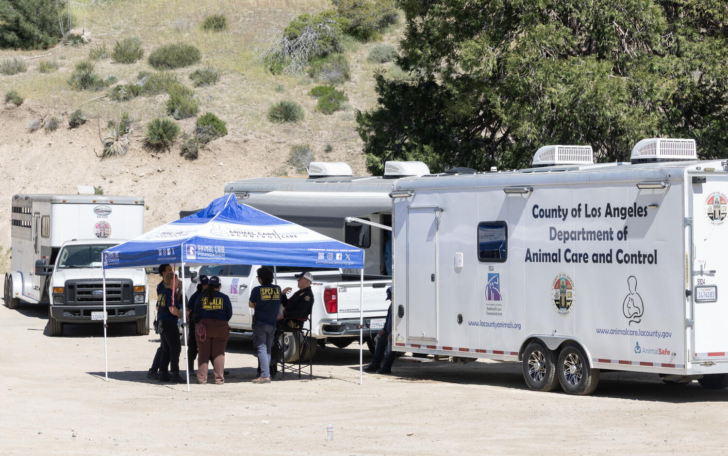 Source-feed image associated with D.A. announces criminal charges against Lake Hughes animal rescuer