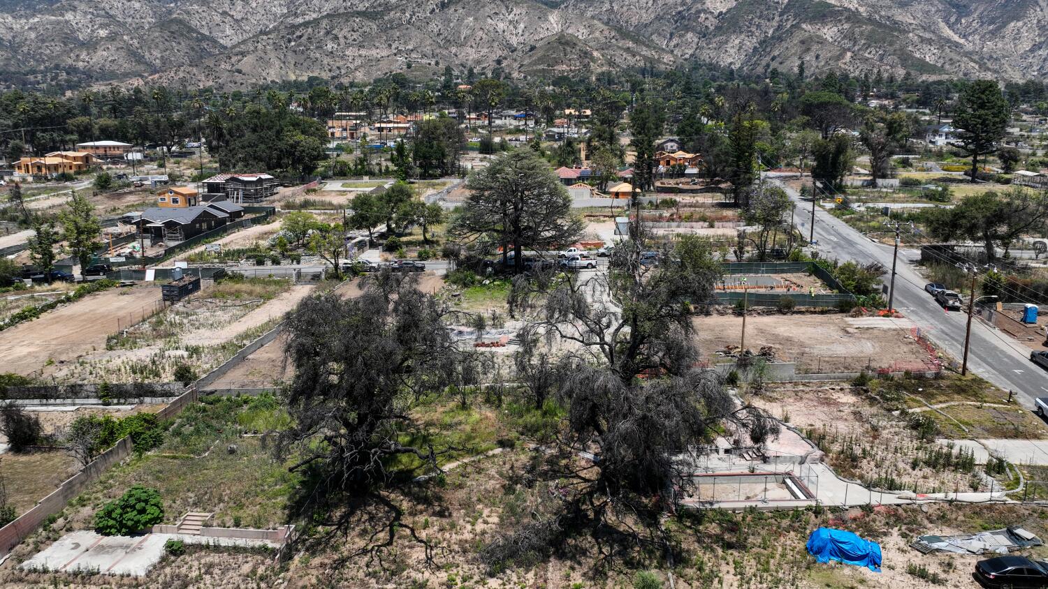 Source-feed image associated with Overgrown lots in Altadena, Palisades pose fire risk. L.A. County is pushing to clear them