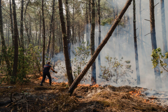 Source-feed image associated with Climate Change Made ‘Fire Weather’ in France, Spain More Likely