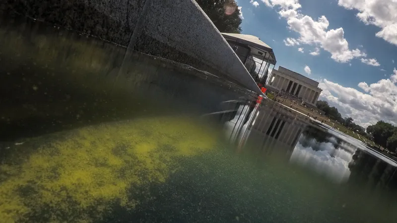 Source-feed image associated with New science on algae die-offs is too late for the Reflecting Pool