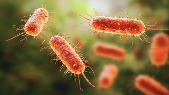 Source-feed image associated with New Cases Slow in New York City Legionnaires’ Disease Outbreak