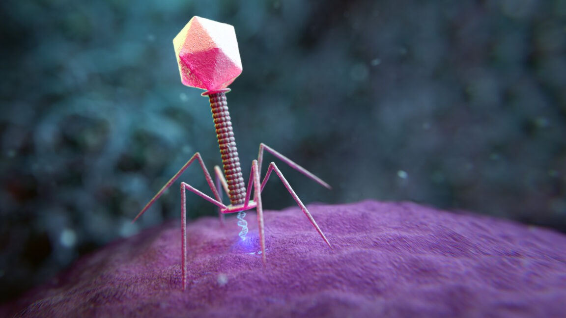 Source-feed image associated with Large genome models used to design new viruses