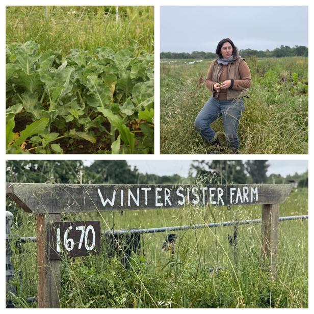 Source-feed image associated with Small Farmers Have Taken a Hit After the Trump Administration Dismantled a Program that Created a Marketplace for Them to Sell Crops.