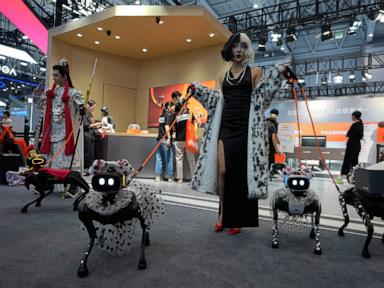 Source-feed image associated with From robot dogs to helpers, China puts robotics ambitions on display at conference