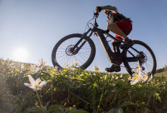 Source-feed image associated with Florida Governor Vetoes E-Bike Safety Bill, Citing Concerns About Bigger Government