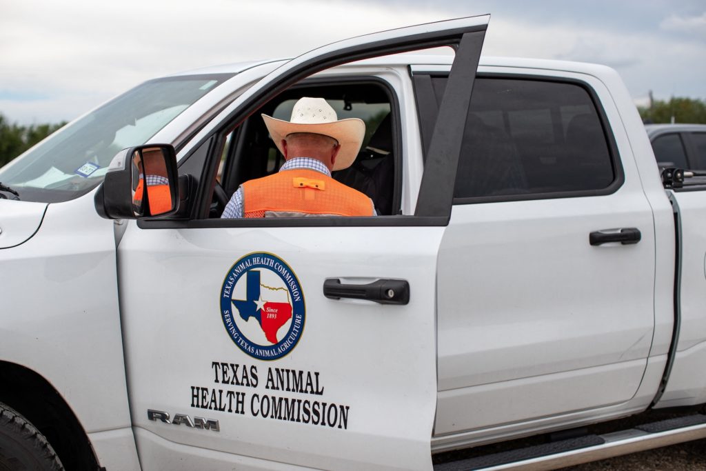 Source-feed image associated with News Wrap: 3 more screwworm cases found in Texas and New Mexico