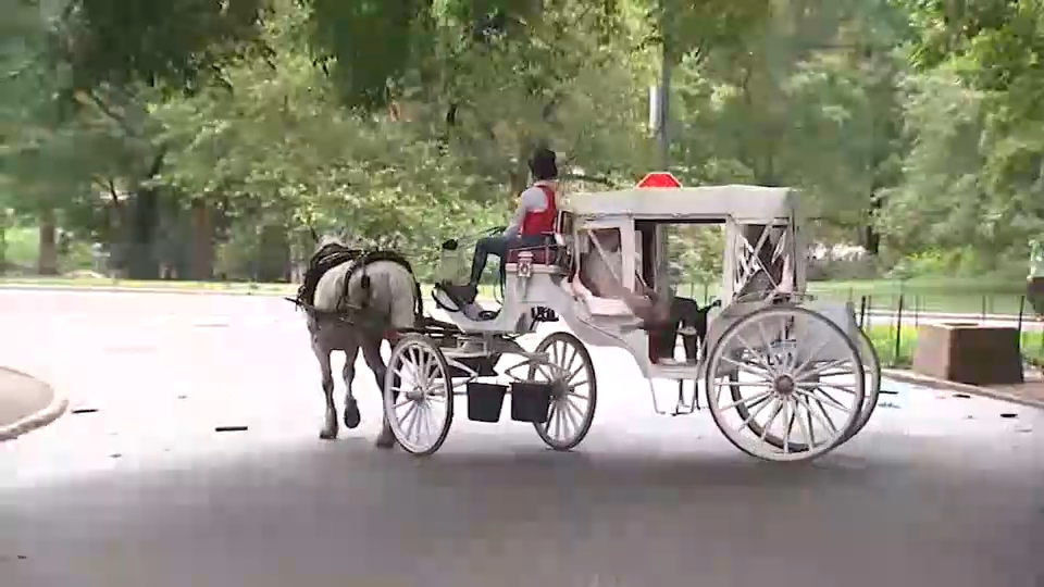 Source-feed image associated with Stray voltage eyed in fatal Central Park horse carriage crash as investigation continues
