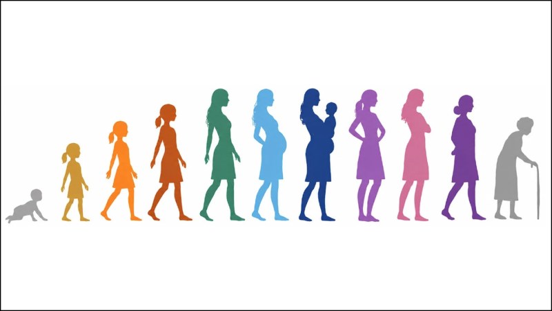 Source-feed image associated with During menopause, brain changes surprisingly take a break