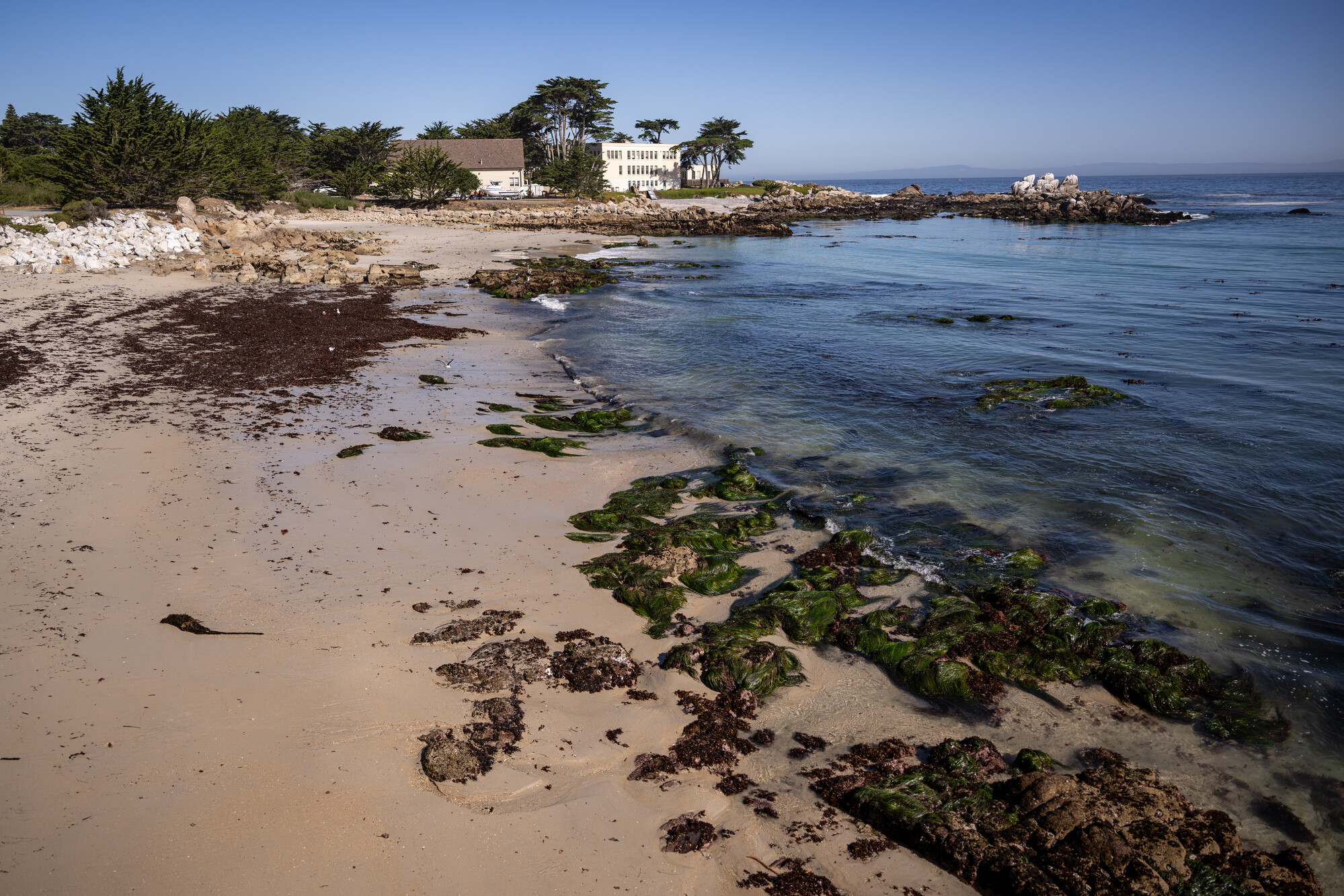 Source-feed image associated with Scientists Warn of Double Threat to Marine Sea Life