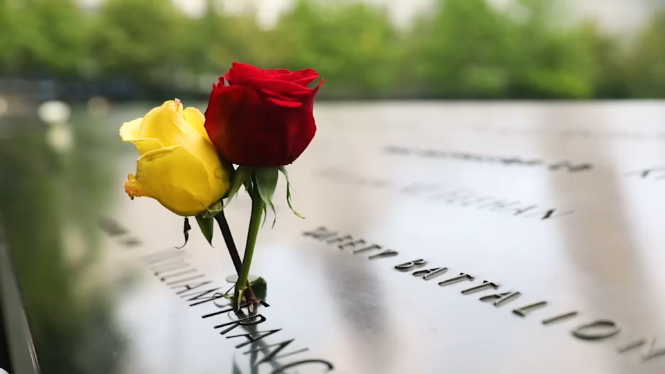 Source-feed image associated with 'Breakthrough' genealogy tests can identify 9/11 victims 25 years later