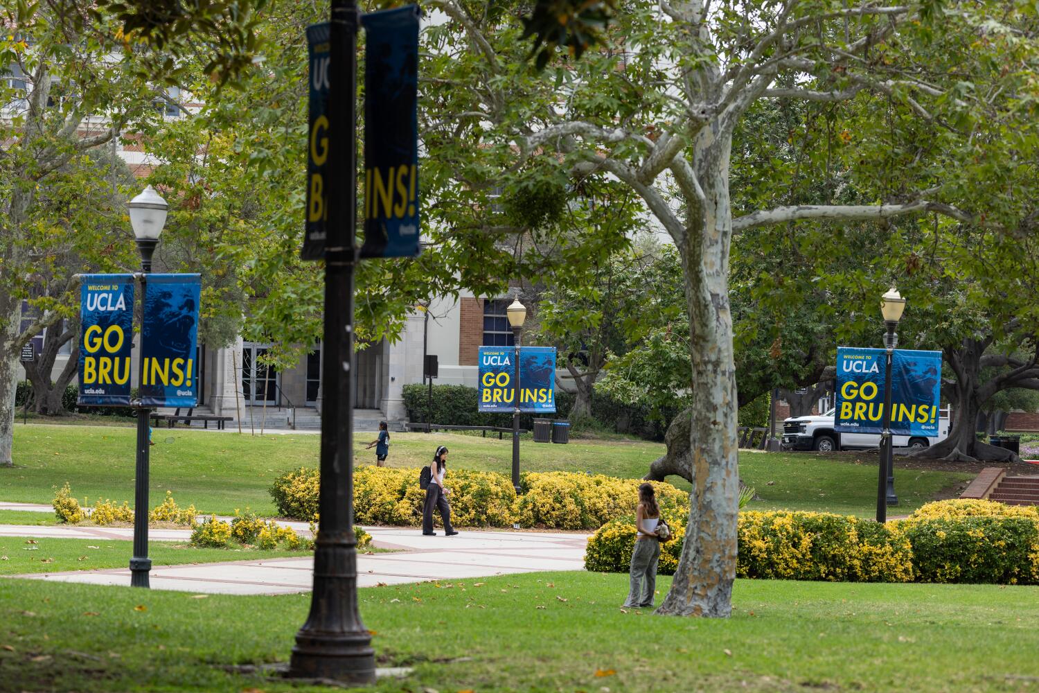 Source-feed image associated with UC accepts record number of Californians, but some select campuses out of reach for most