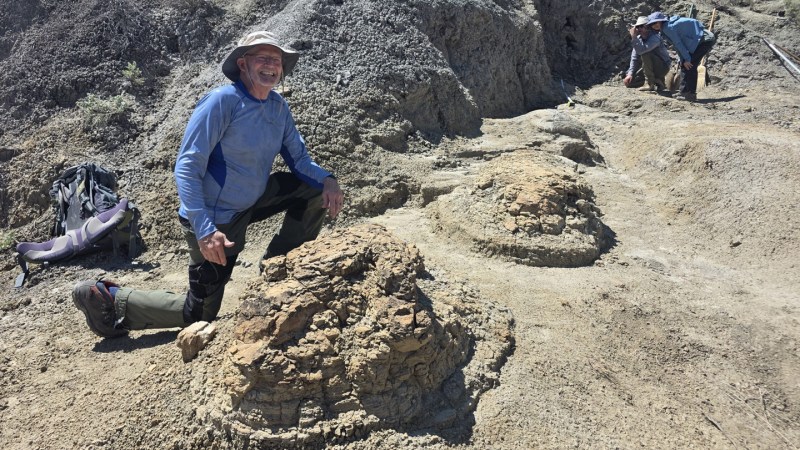 Image from linked report: First series of adult T. rex footprints hints at its walking speed