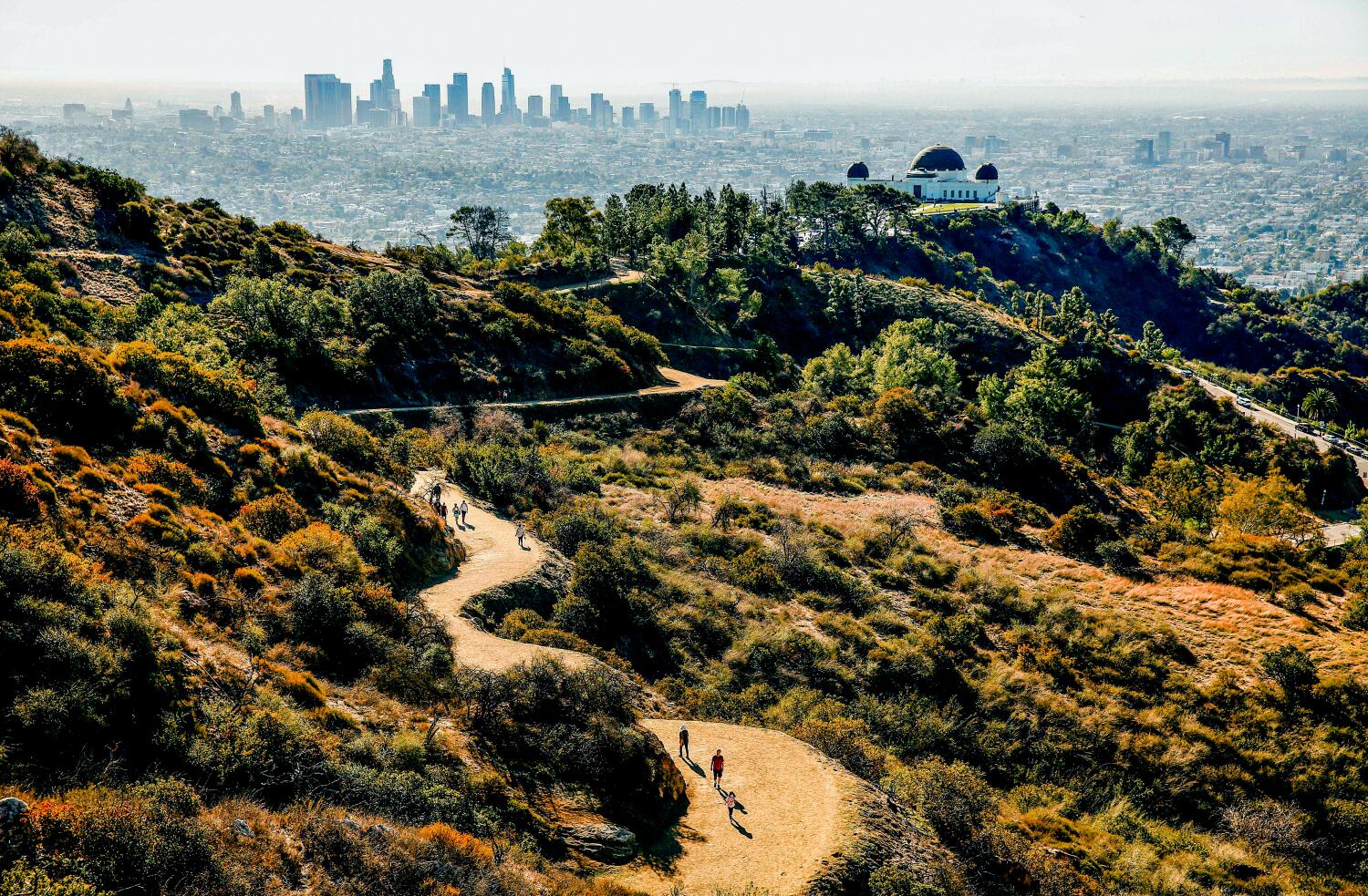 Source-feed image associated with Dozens join in air rescue attempt in Hollywood Hills, but hiker dies