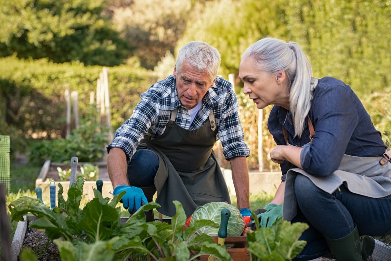 Source-feed image associated with ‘We own our home outright’: I am 67 and earn $100,000. Do I take my $30,000 Social Security now or wait?