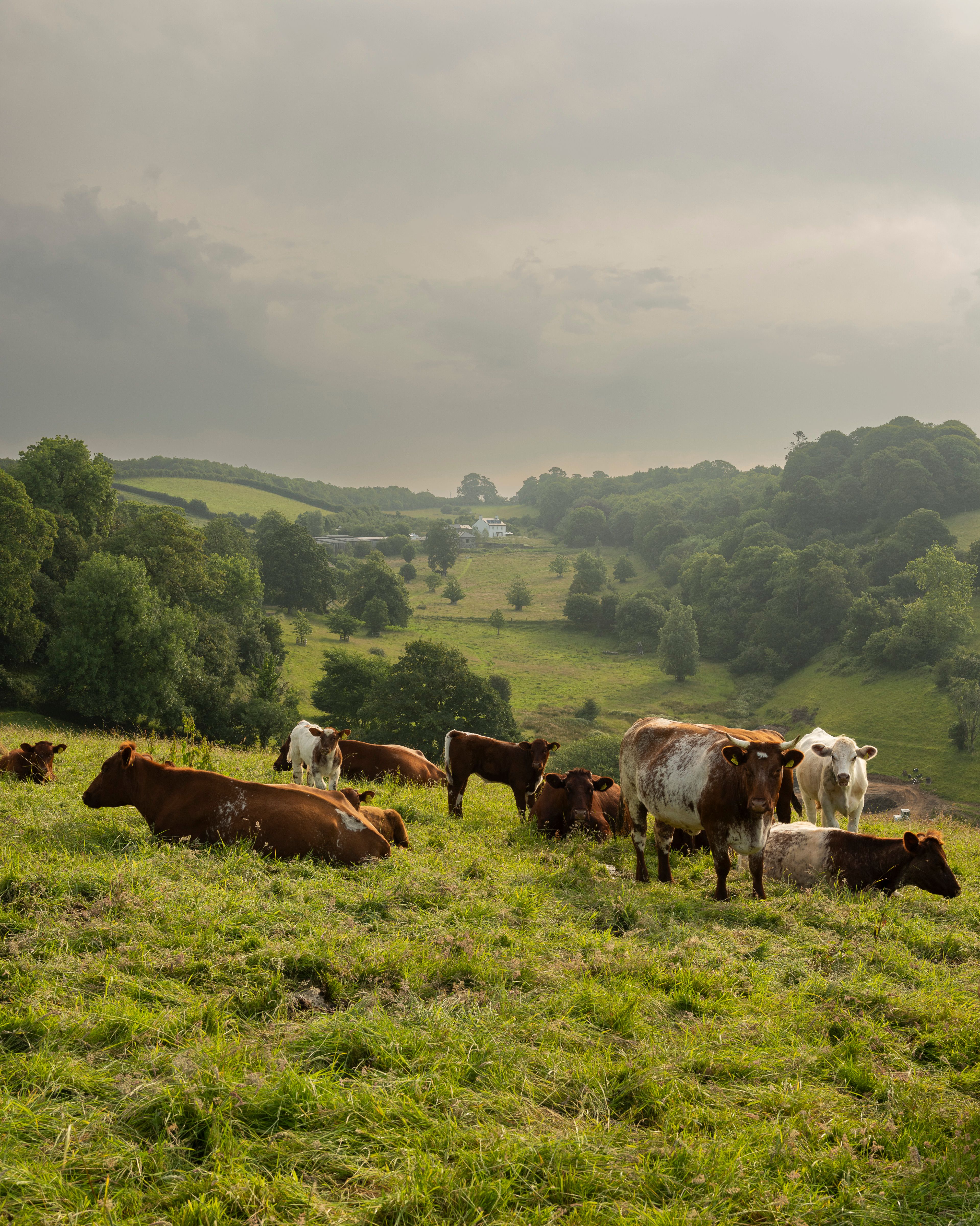 Source-feed image associated with Devon Sent: It’s Time to Visit the Dreamy English County Starring in ‘Sense and Sensibility’