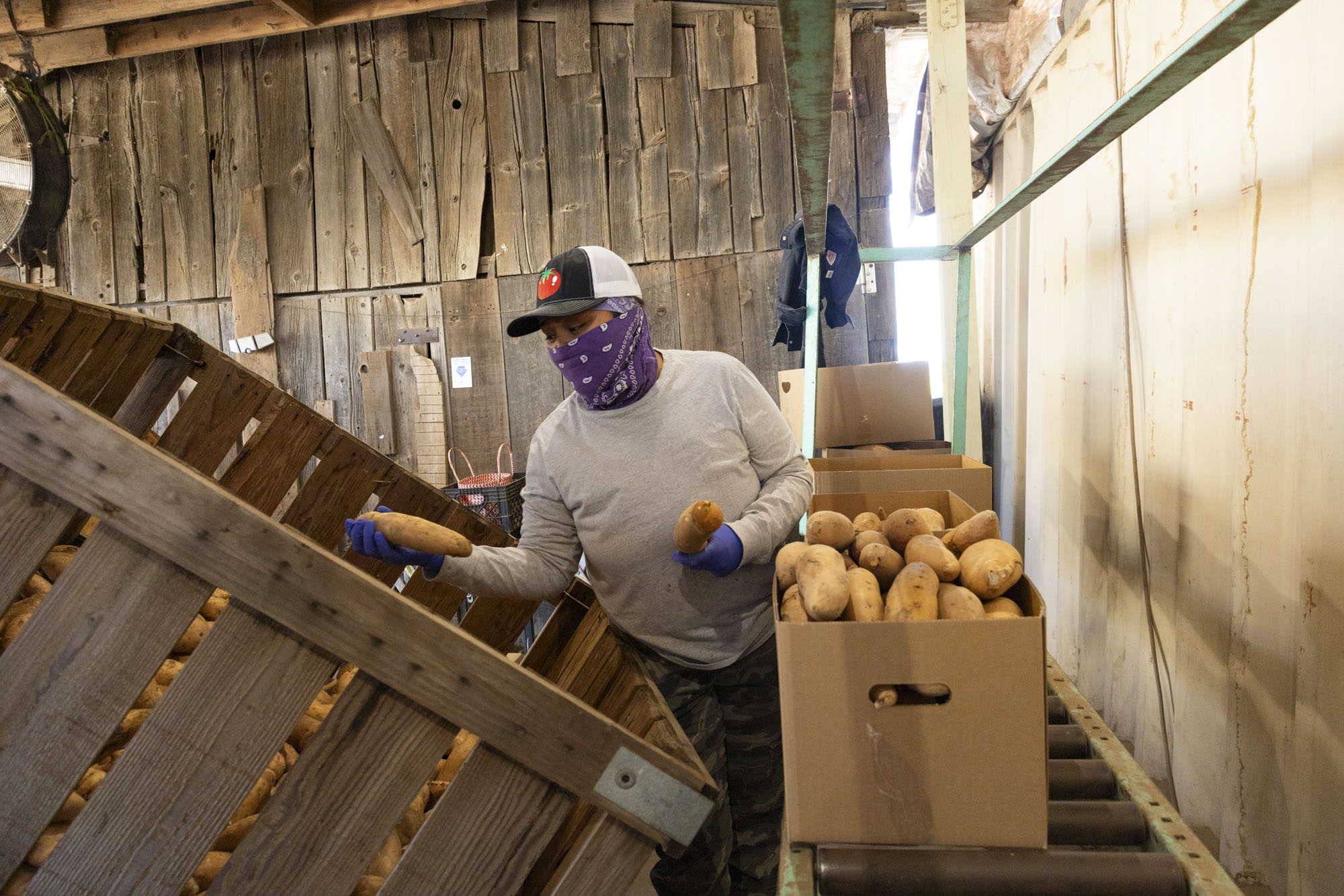 Source-feed image associated with A Lifeline for California’s Small Farms Just Expired. What Comes Next?