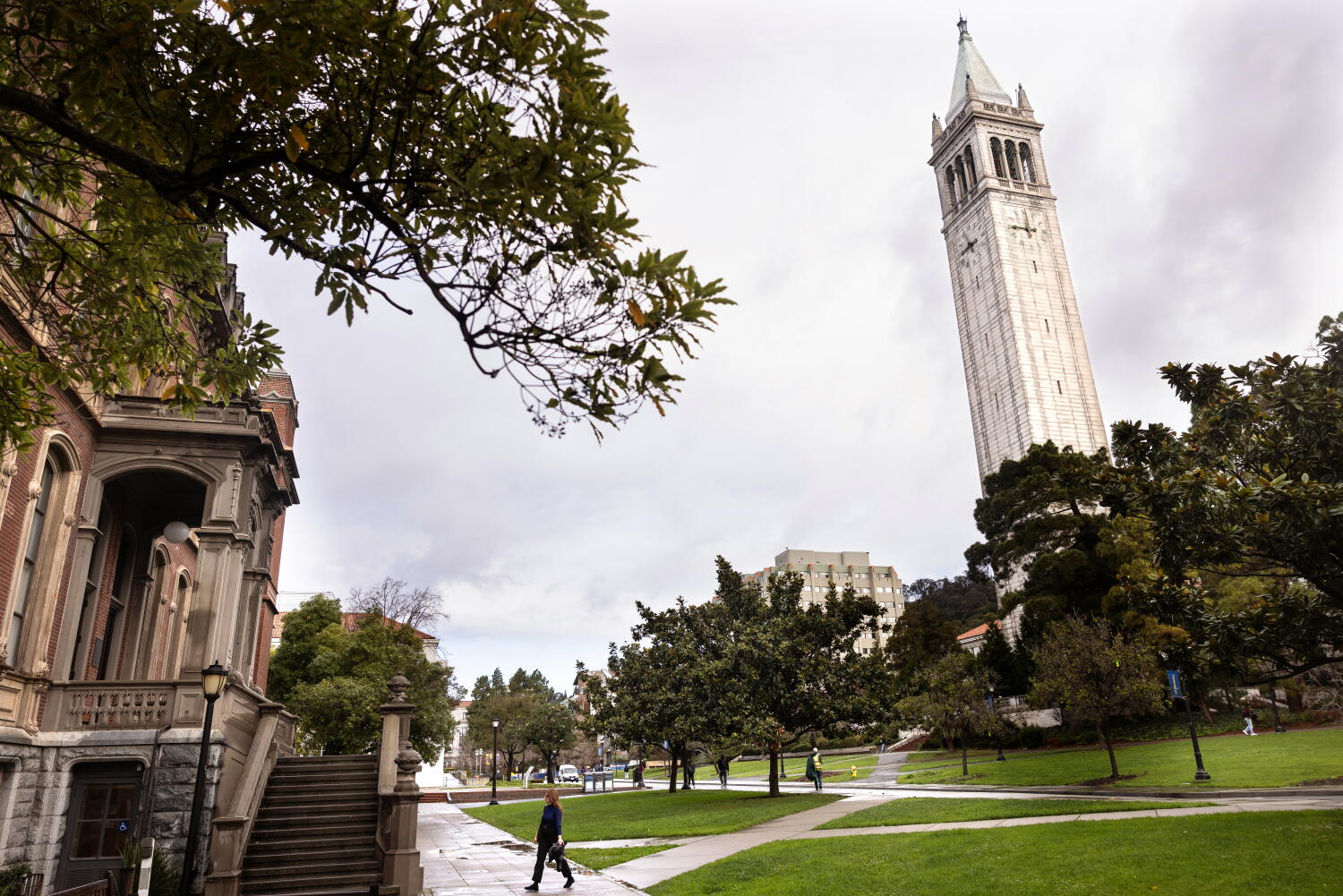 Source-feed image associated with More UC students are failing intro math courses as regents weigh reinstating SAT