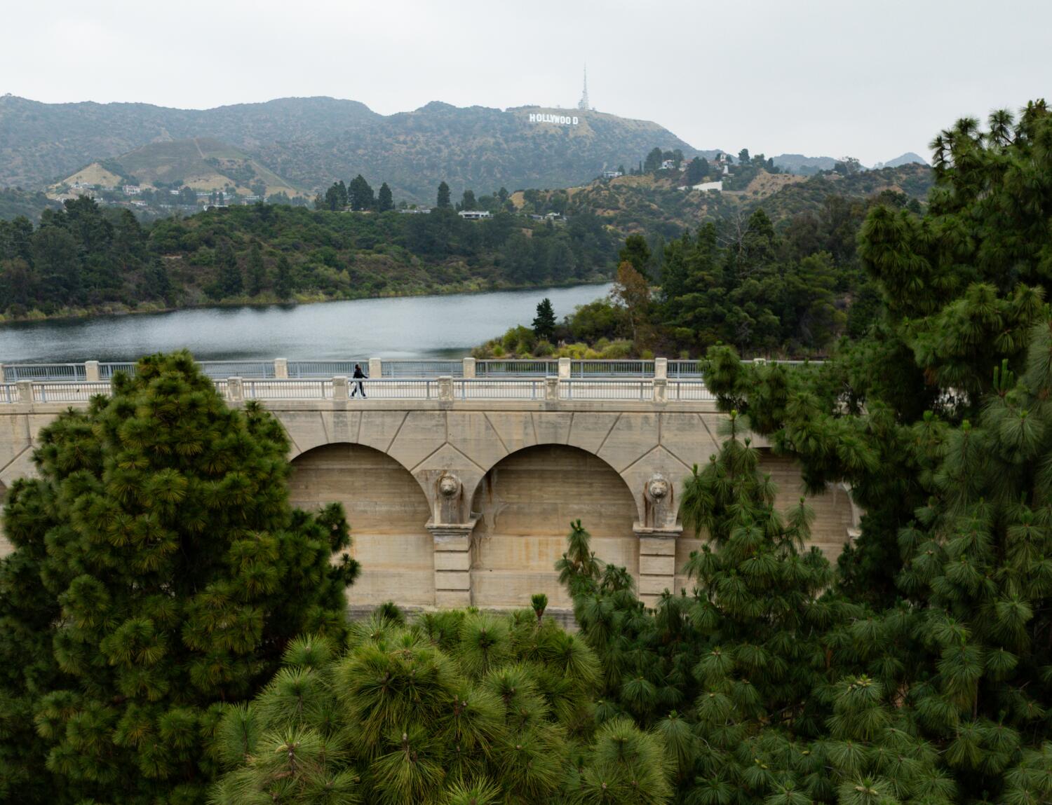 Source-feed image associated with 'May Gray has leveled up': Southern California can expect a cloudy, drizzly week