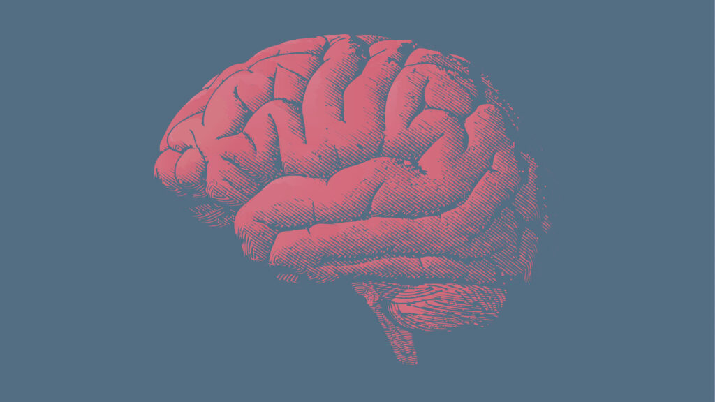 Source-feed image associated with STAT+: Tau in the spotlight at Alzheimer’s conference