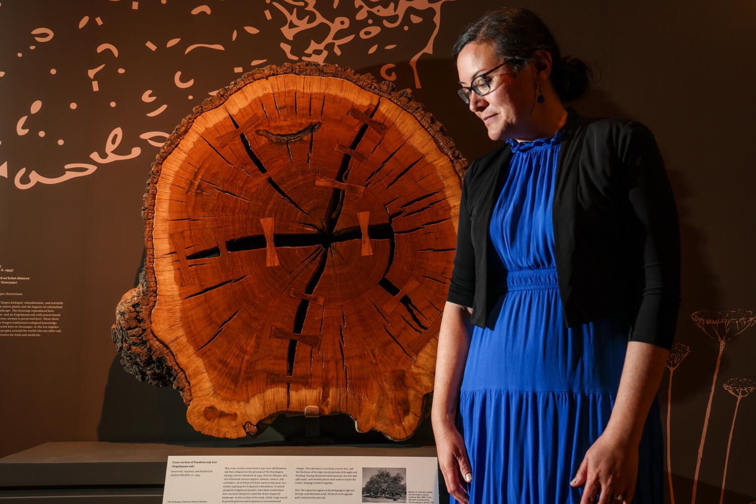 Source-feed image associated with Woody Guthrie's guitar, a Gettysburg photo: 5 must-sees at the Huntington's new America 250 exhibit