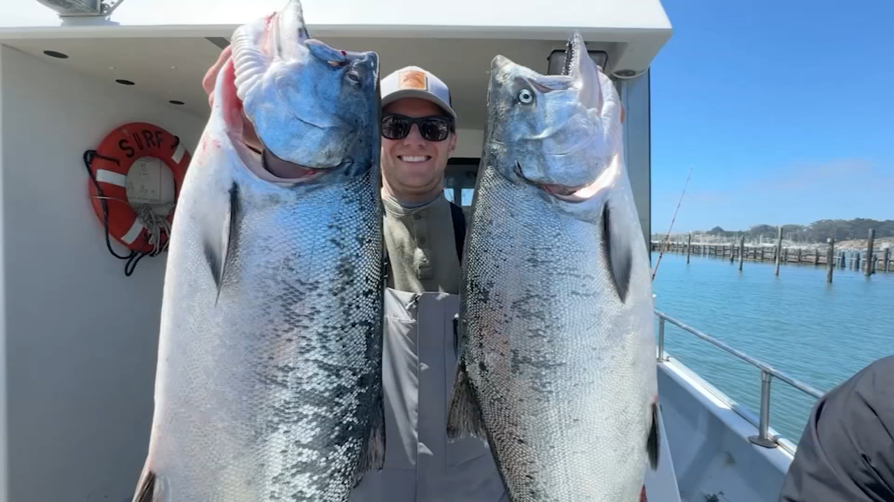 Source-feed image associated with Sports salmon season reopens in CA, bringing big catches and new hope to North Bay fishermen