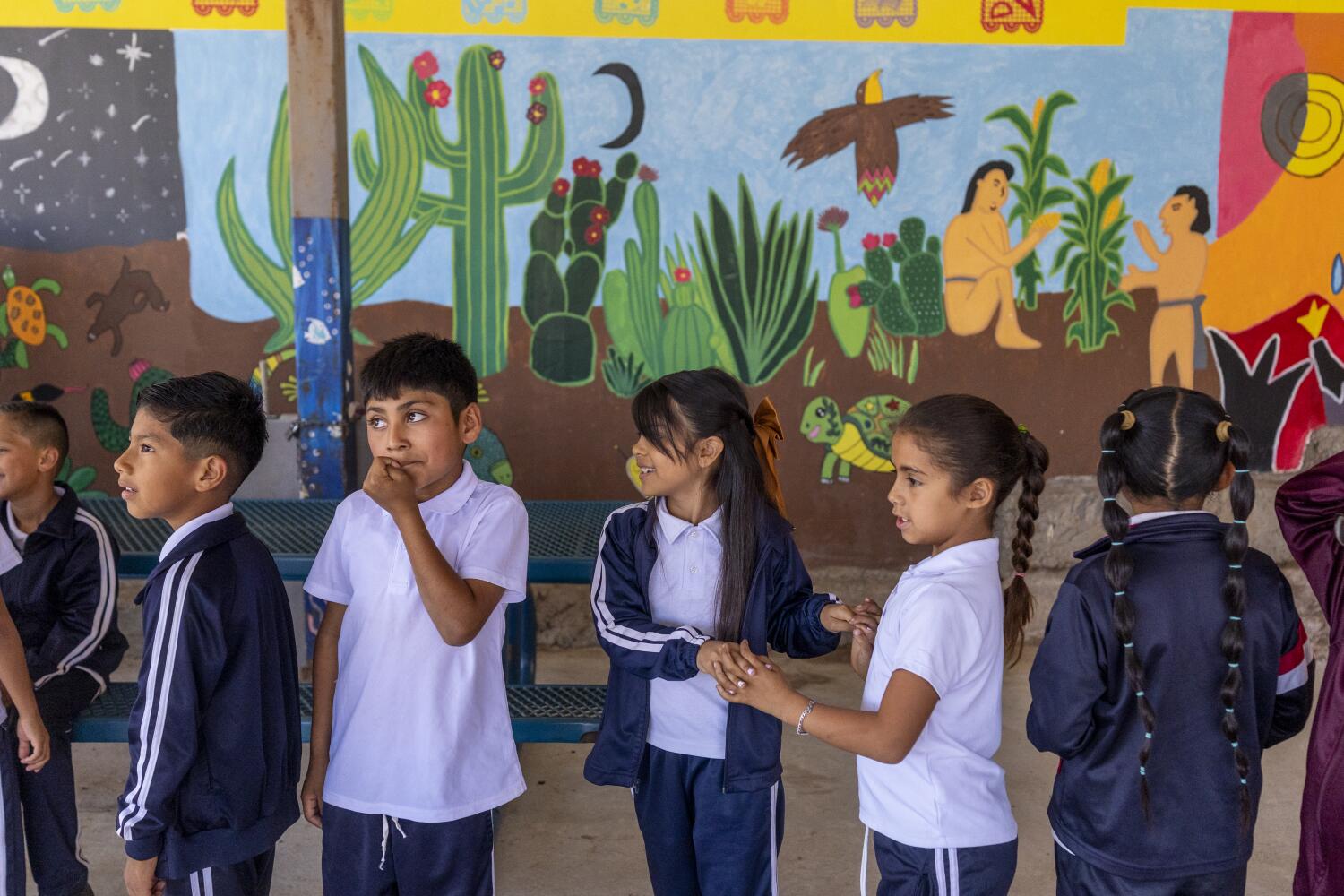 Source-feed image associated with Lopez: How an international collaboration led to the creation of a hidden treasure in Baja California