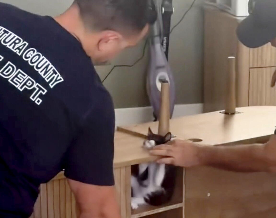 Source-feed image associated with California firefighters, a trapped kitten and a collective 'aww' from the internet