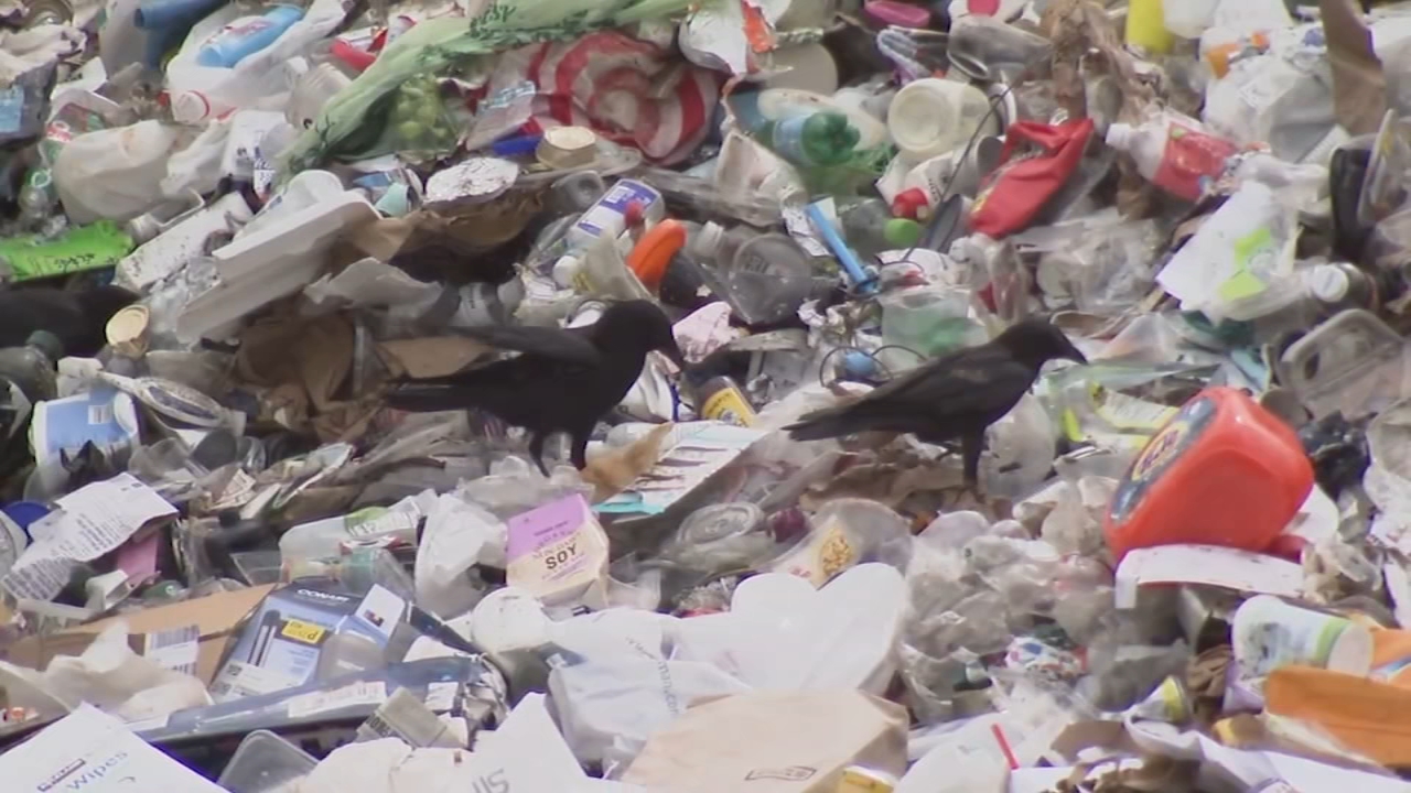 Source-feed image associated with Illegal dumping in Berkeley a 'nightmare' when students move out: How Cal program aims to curb it