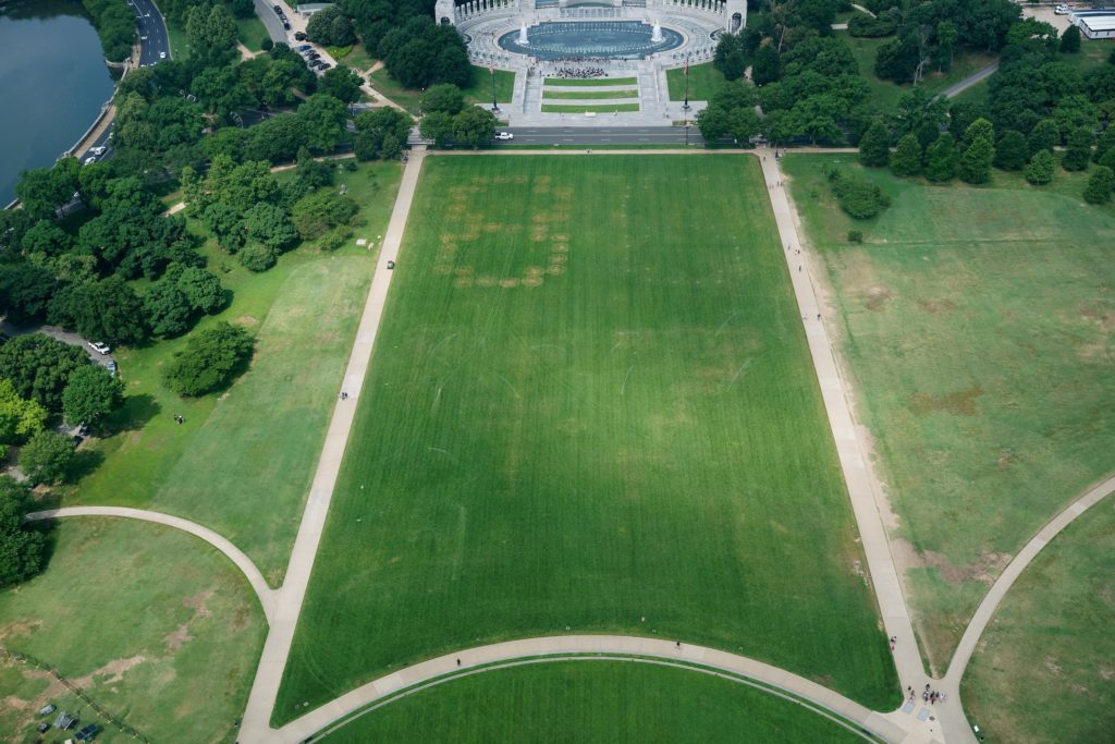 Source-feed image associated with News Wrap: Apparent anti-Trump message etched into National Mall