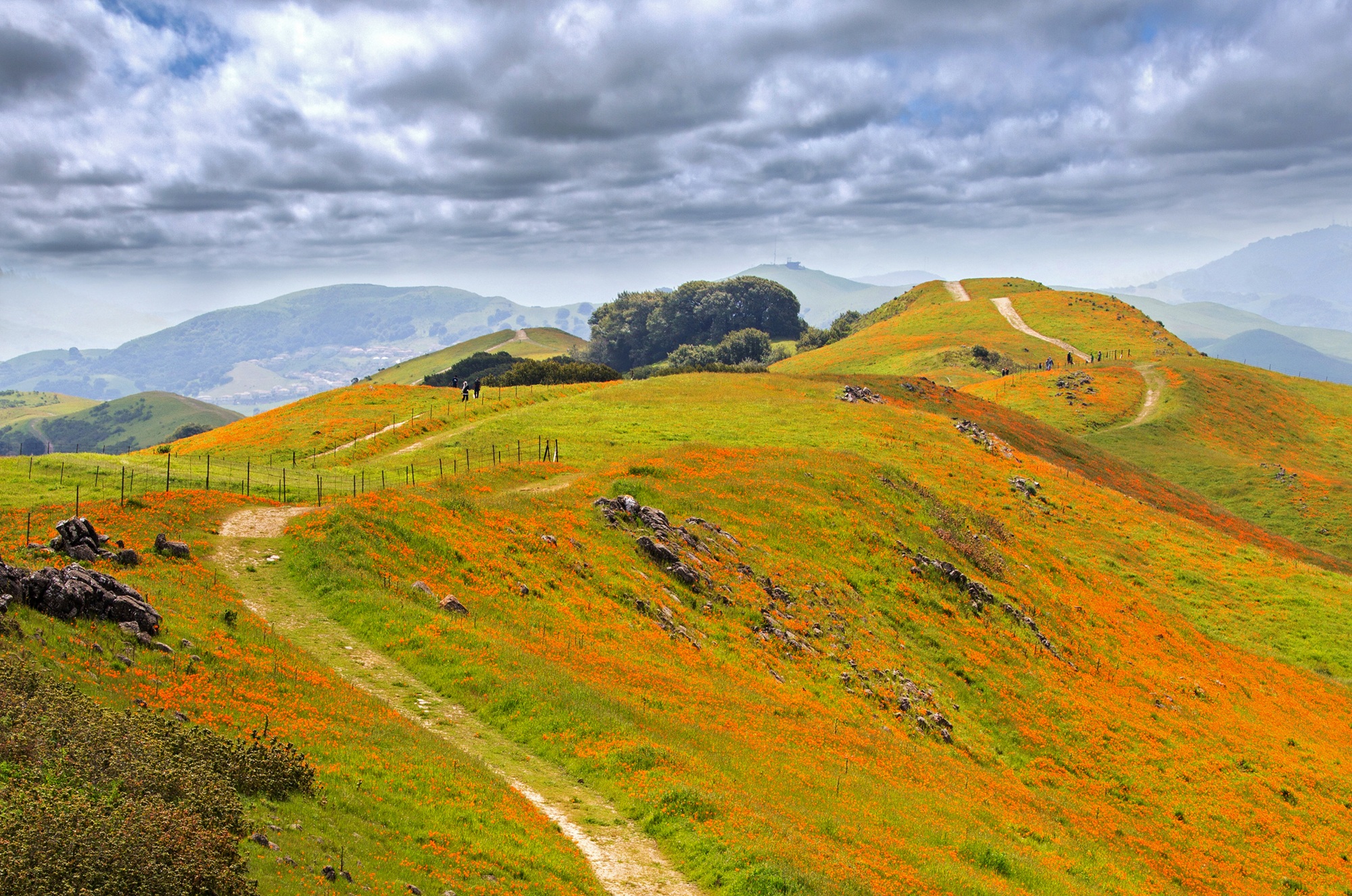 Source-feed image associated with Want Access to New, Less-Crowded Bay Area Hiking Trails? A $10 EBMUD Permit Could Be the Answer