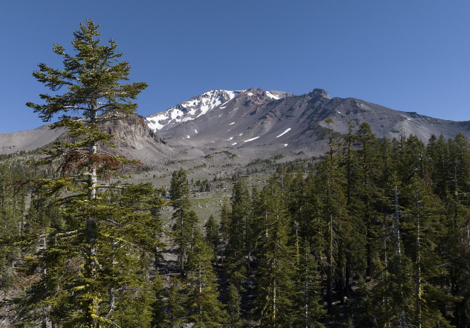Source-feed image associated with Father-son duo kidnapped U.S. Forest Service workers, held them hostage, feds say