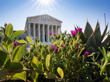 Image from linked report: Trump administration turns to Supreme Court as third-country deportations are thrown into question
