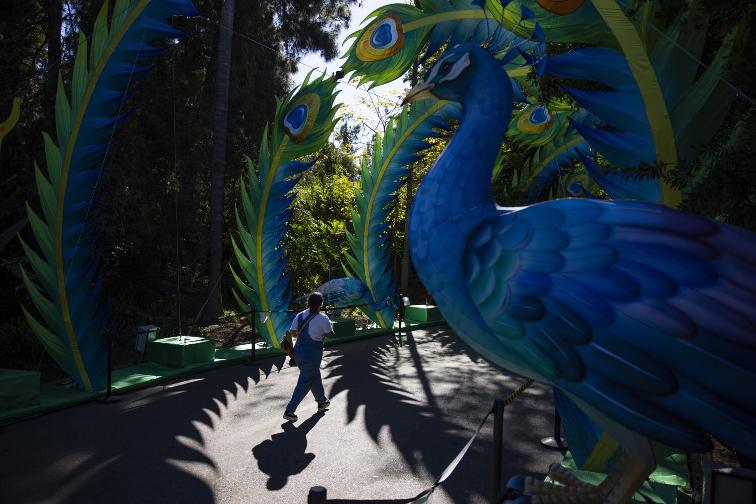 Source-feed image associated with L.A. Zoo nonprofit's bankruptcy case dismissed, boosting city in fight over $50-million endowment