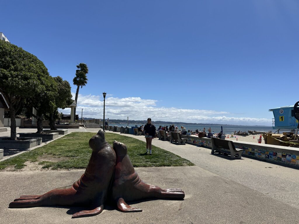 Source-feed image associated with Female surfer statue finds new home in Capitola amid pushback from east side residents
