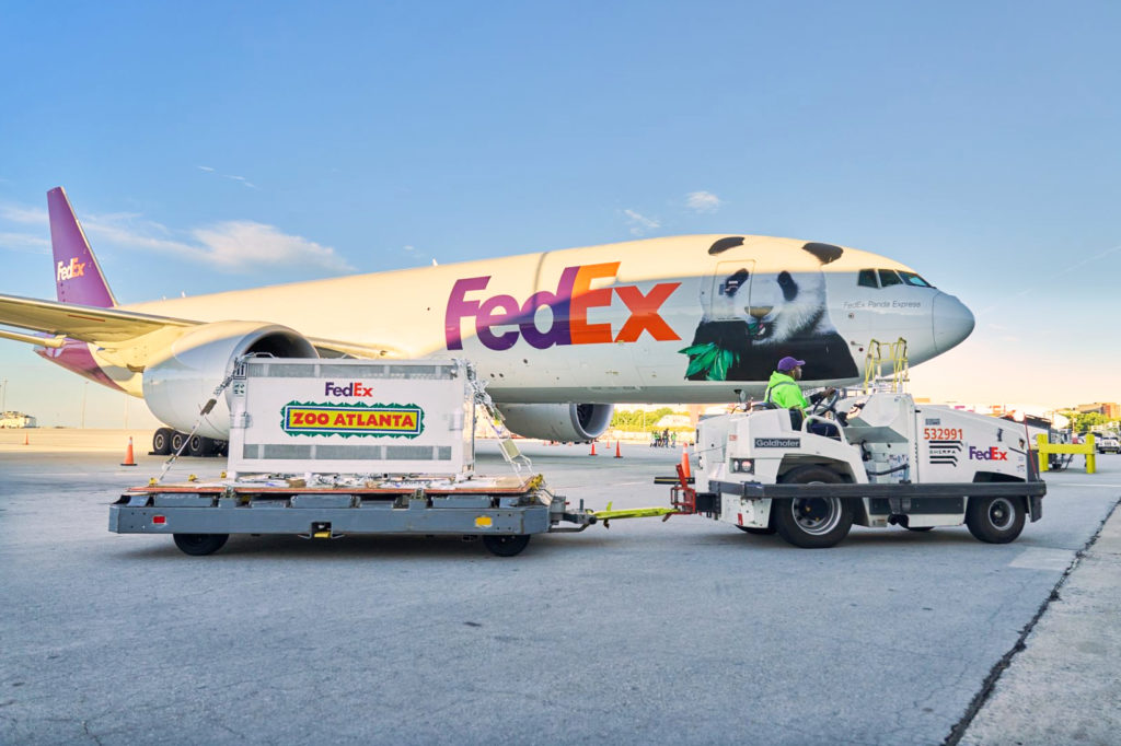 Image from linked report: 2 giant pandas arrive in Atlanta under a U.S.-China government agreement