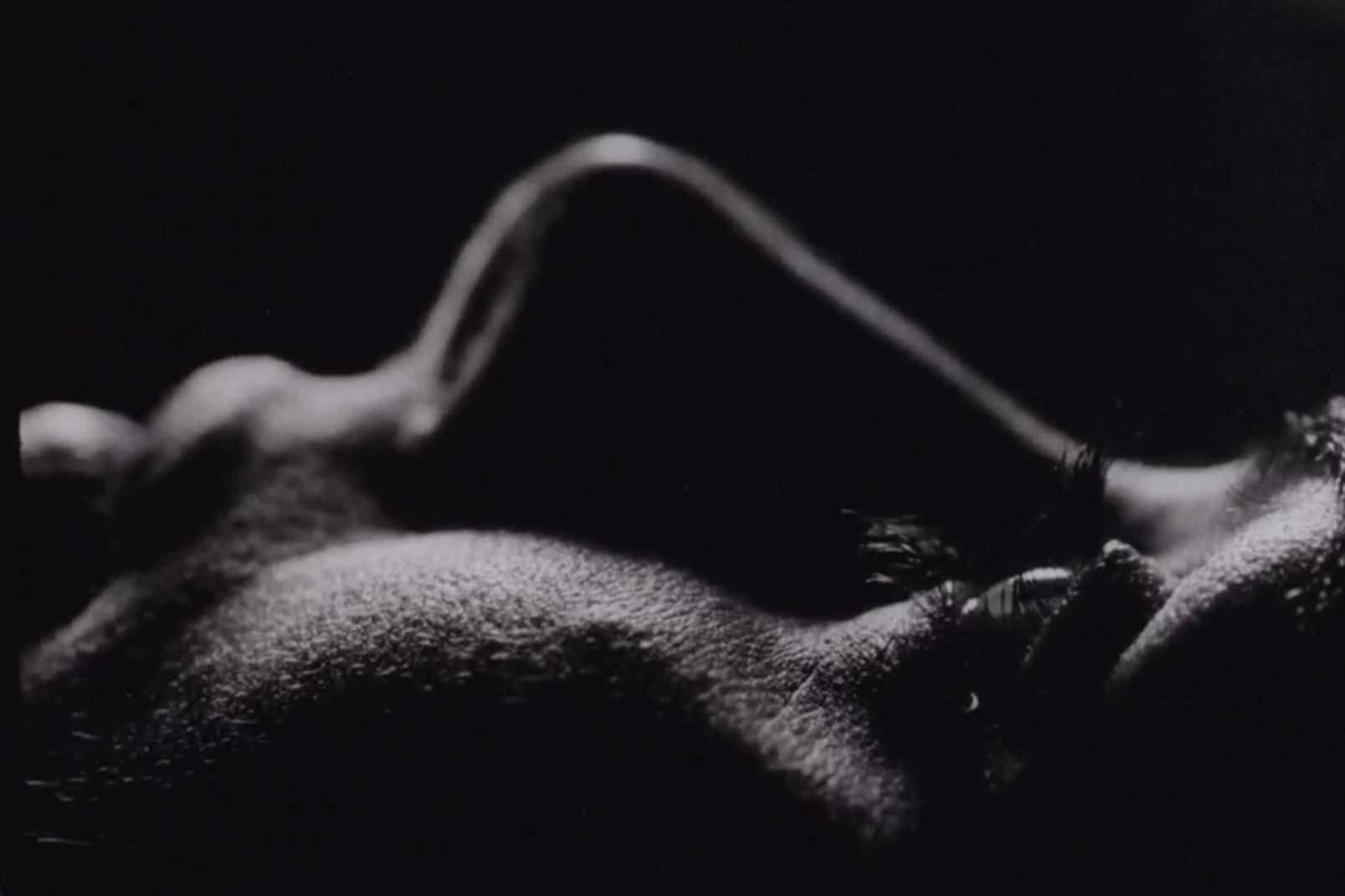 Source-feed image associated with Motherhood Horror Film ‘Vagina Dentata,’ ‘From The Eclipse’ Director Nataša Urban, Boarded by Romanian Partner Manifest Film (EXCLUSIVE)