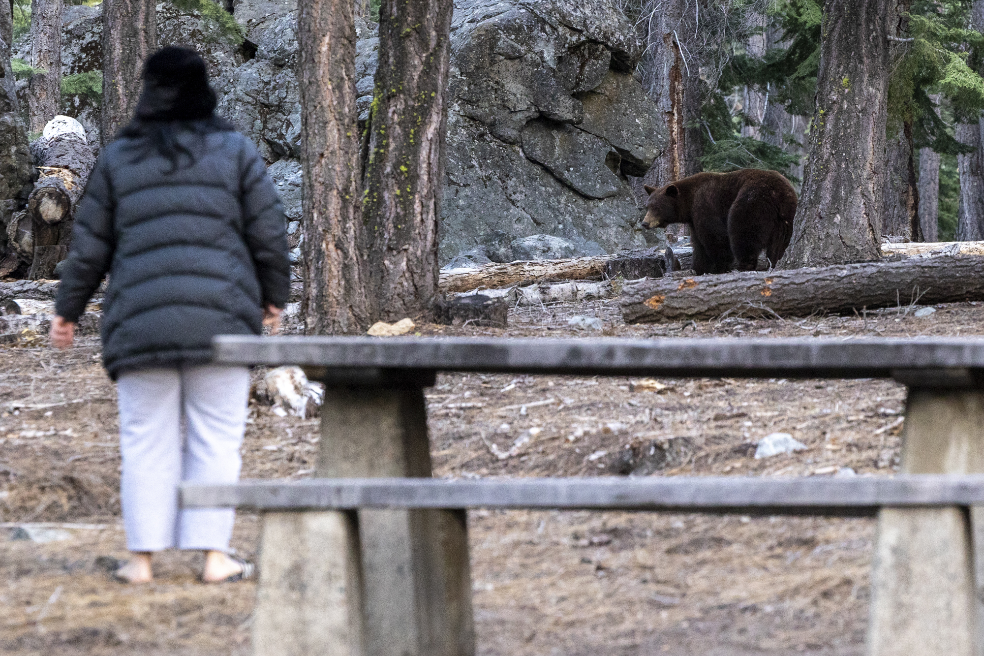 Source-feed image associated with These 8 Camping Fears Are Real. Let Us Solve Them for You