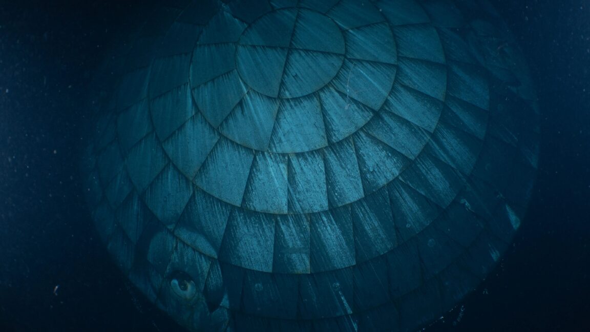 Source-feed image associated with It turns out that Orion's much-maligned heat shield performed really well