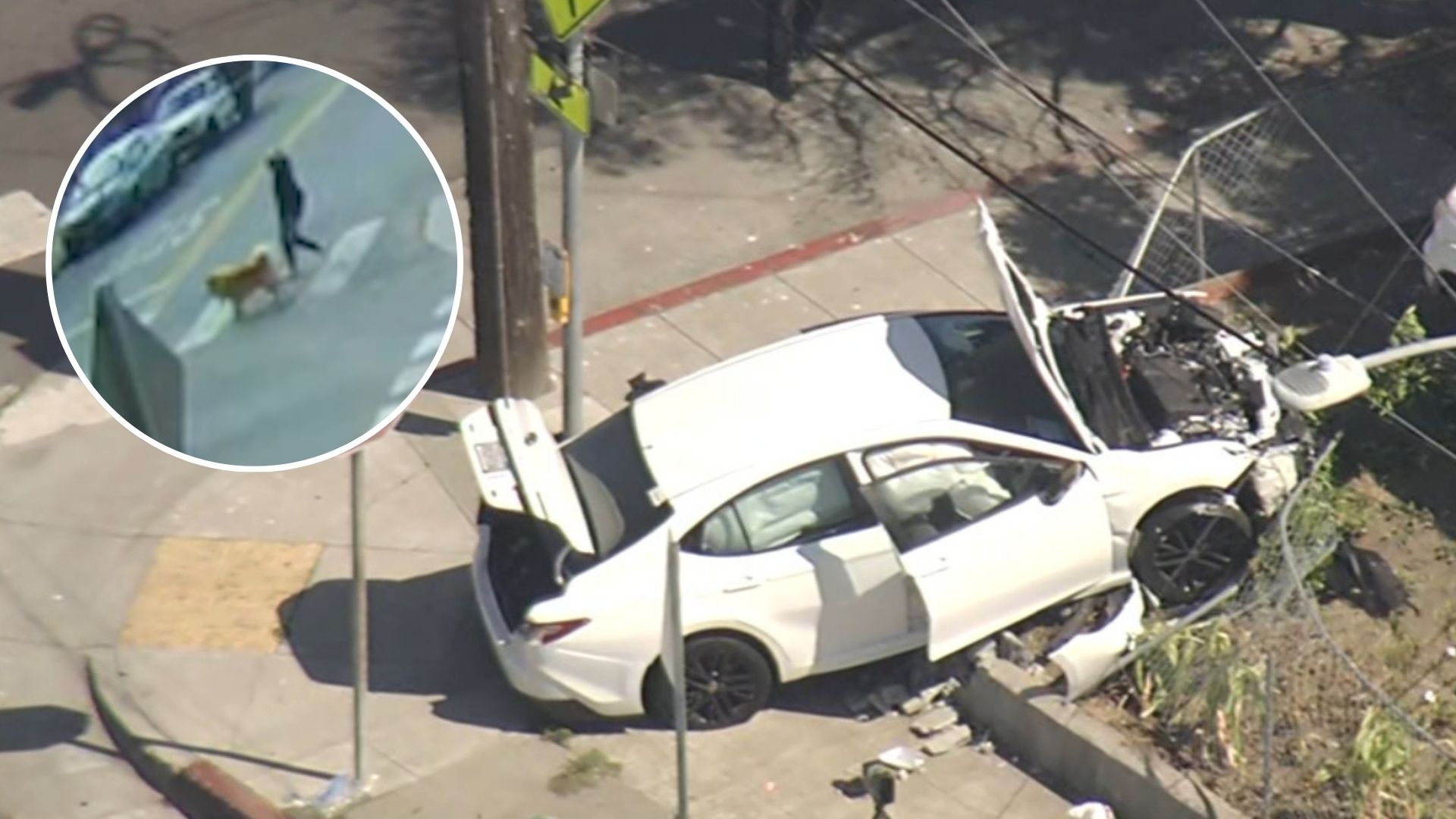 Source-feed image associated with 7 and 4-year-old brothers take parents' car, critically injure woman walking dog in Oakland crash