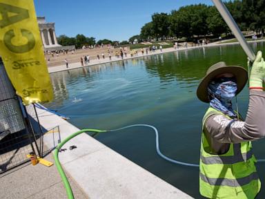 Source-feed image associated with Trump administration uses hydrogen peroxide against algae in Reflecting Pool