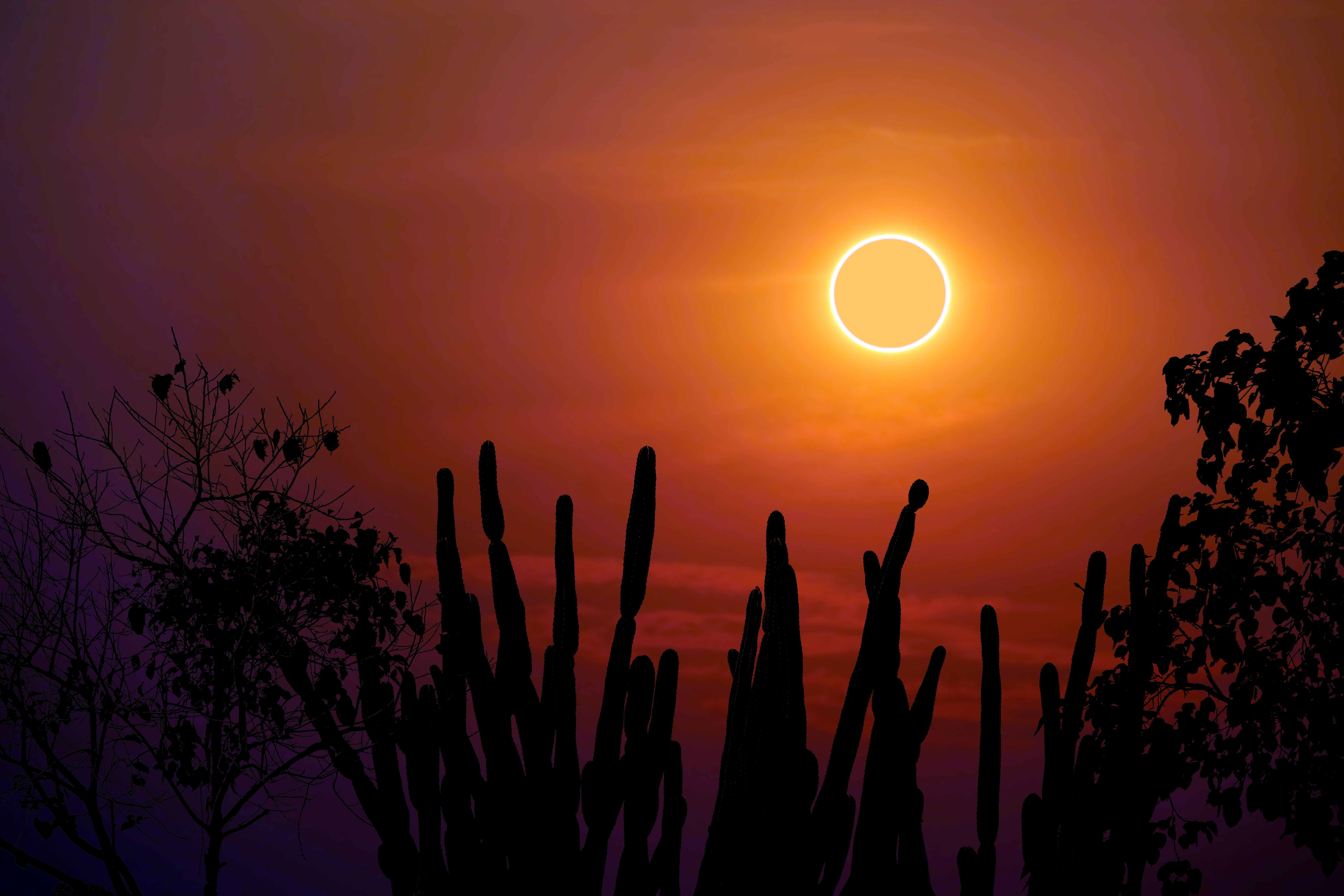 Source-feed image associated with What the Total Solar Eclipse in Leo Means for Every Star Sign