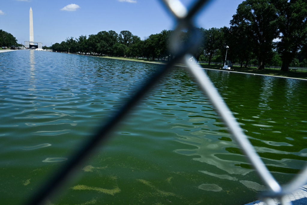 Source-feed image associated with Former Olympic canoe racer pleads not guilty in Reflecting Pool damage case