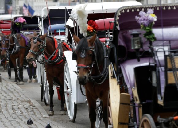 Source-feed image associated with Teen Dies After Being Thrown From Horse-Drawn Carriage in NYC’s Central Park