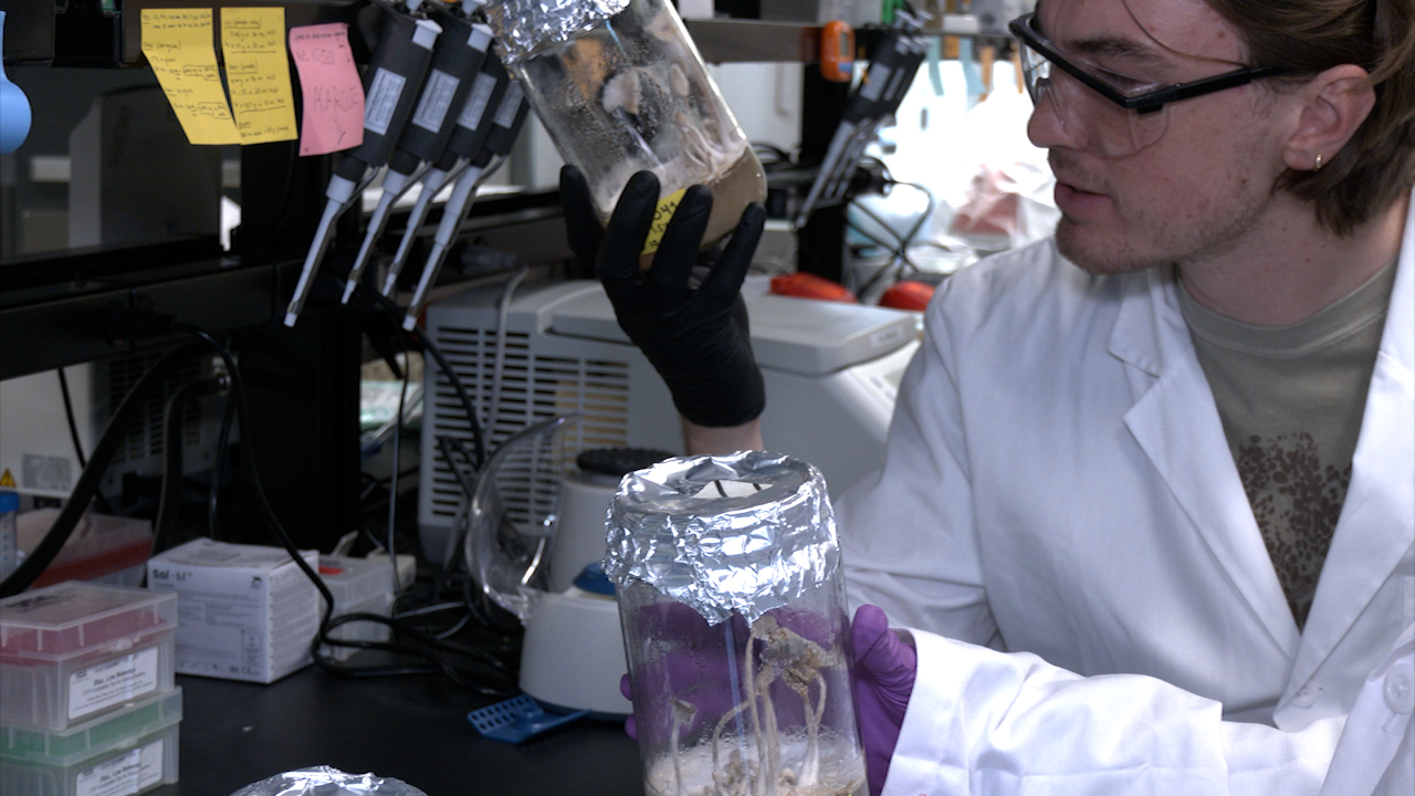 Source-feed image associated with Stanford lab using fungi to upcycle food waste