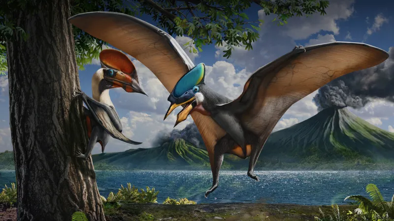 Source-feed image associated with Some pterosaurs may have boasted bold iridescence
