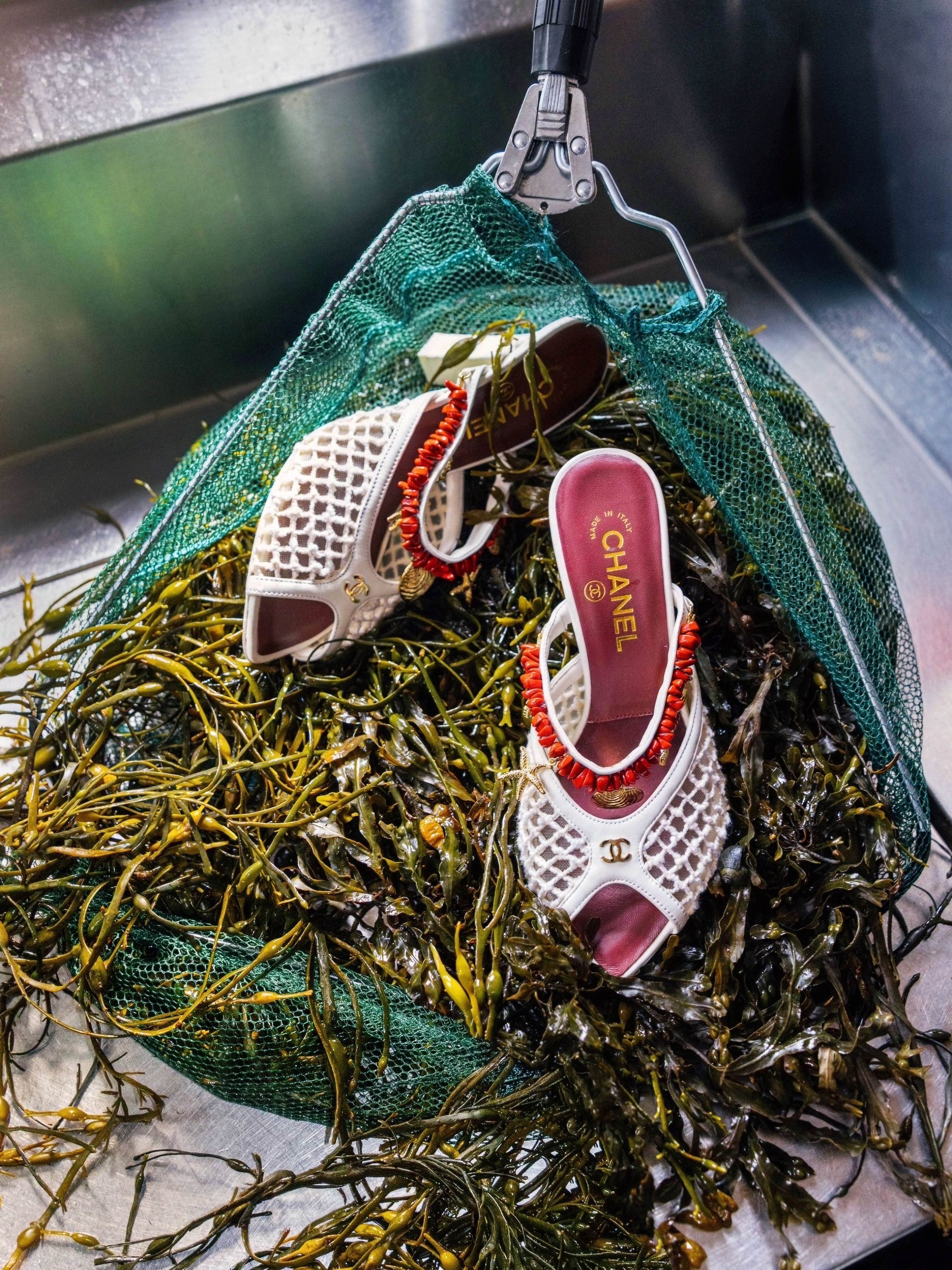 Source-feed image associated with The Summer of the Seaside—The Best Shell Accessories of the Season