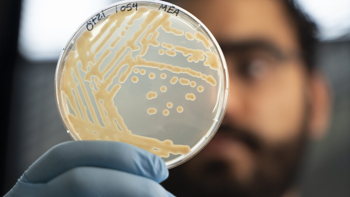 Source-feed image associated with Some ancient microbes frozen with Ötzi the Iceman are still growing