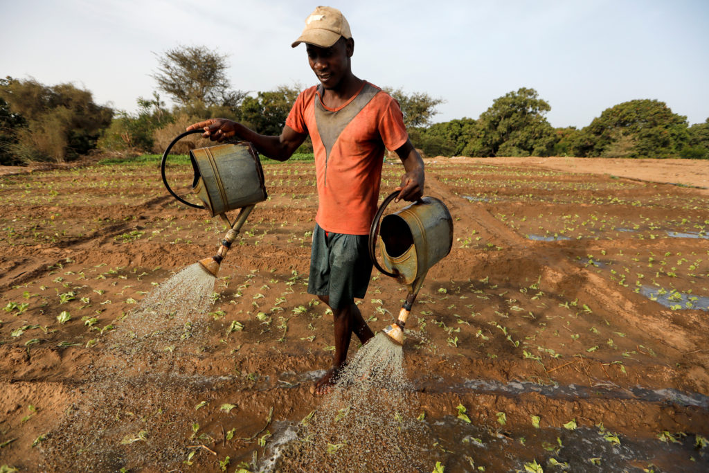 Source-feed image associated with Farmers seek fertilizer alternatives as Iran war drives up prices